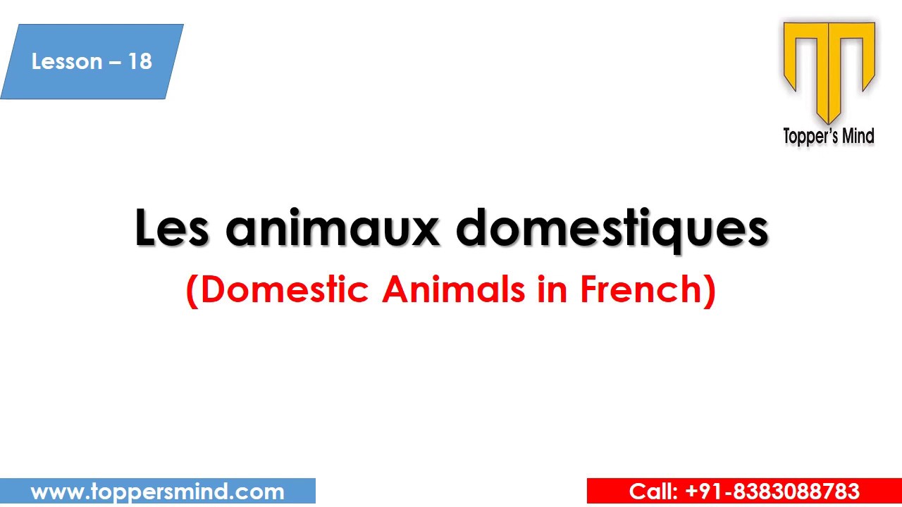 Domestic Animals in french | Pets in French - Les animaux domestiques