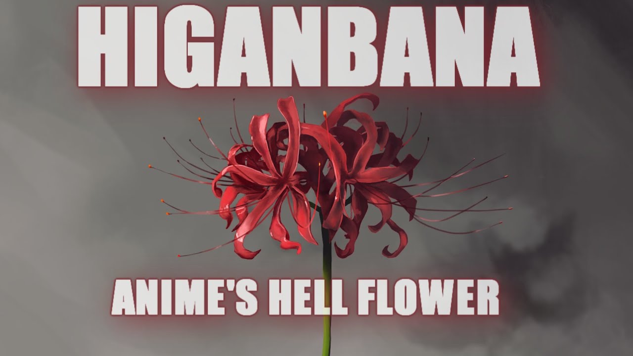 The Red Spider Lily - Anime's Hell Flower