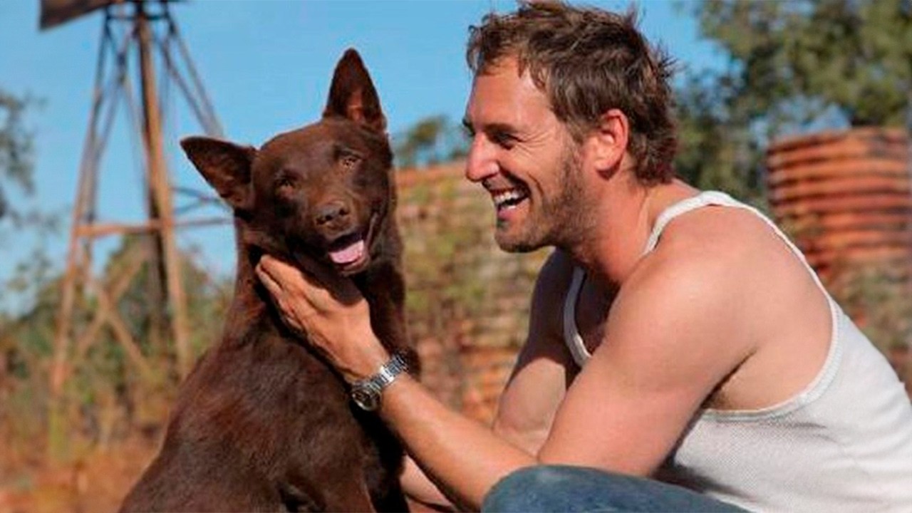 Red Dog, una Historia de Lealtad | Película Completa en Español | YouMovies Español