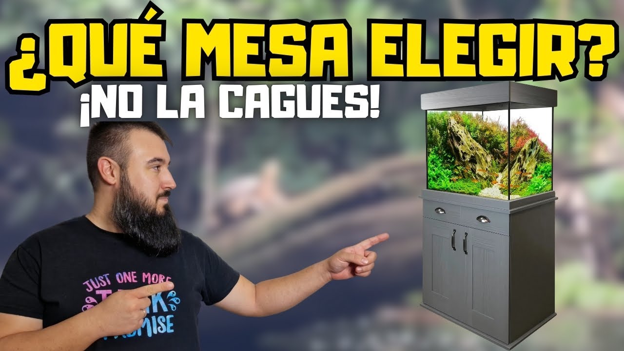 💧 MESA para ACUARIOS. Te EXPLICO COMO ELEGIR el MEJOR MUEBLE para tu ACUARIO 💧
