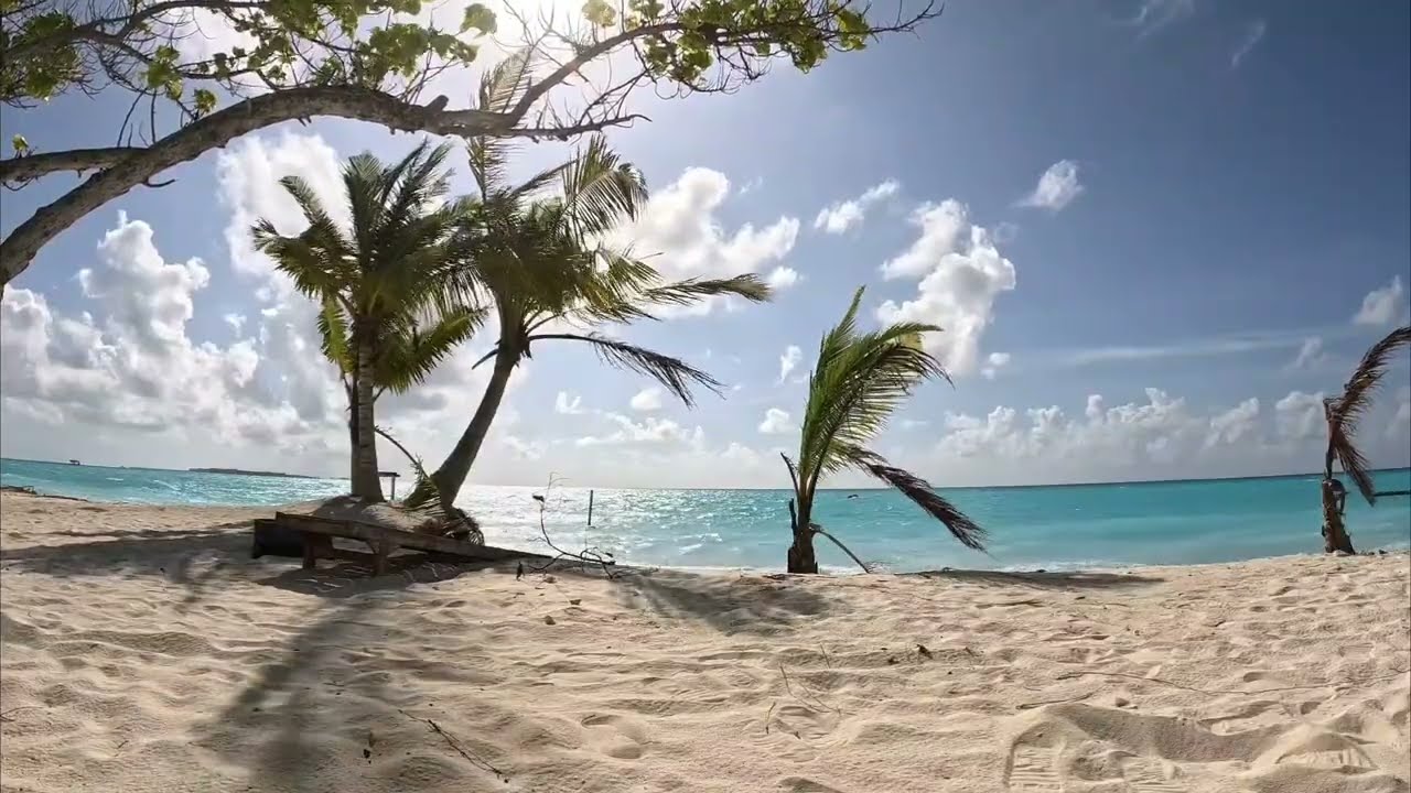 Maamigili | My Stay at the Local Island | Island with a Potential | Maldives