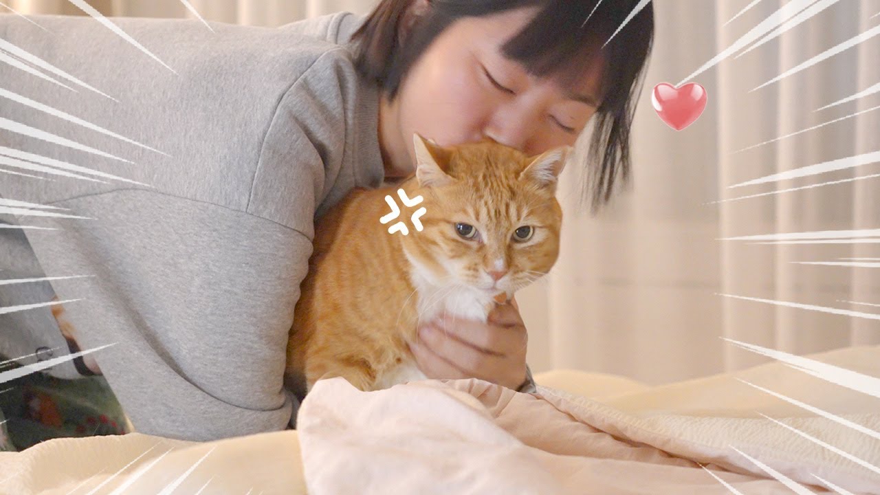 이렇게 생긴 애 앞에서 뽀뽀를 어떻게 참아요?