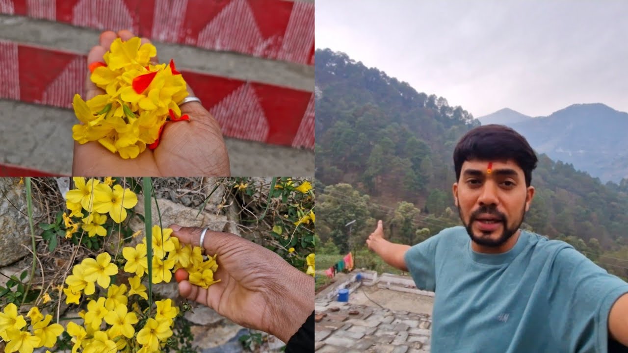 उत्तराखंड का लोक पर्व फूलदेई । क्या खास होता है इस दिन 🙏🤗 