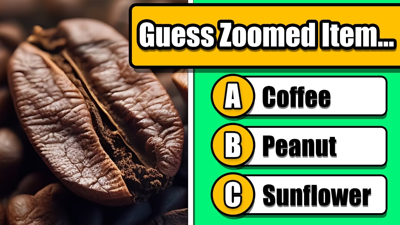 Close-Up Challenge: Guess the Zoomed-In Items!