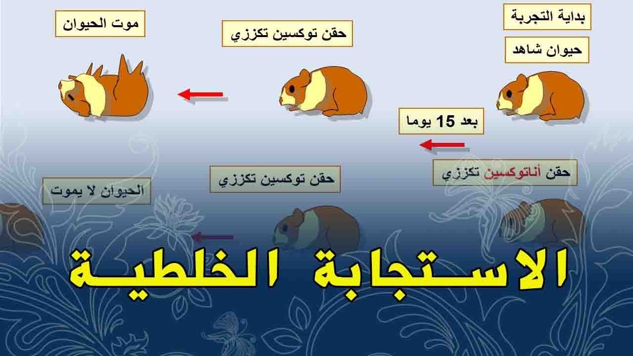الدرس 23:علوم طبيعية الرابعة متوسط الاستجابة المناعية النوعية الخلطية عوشت للعلوم
