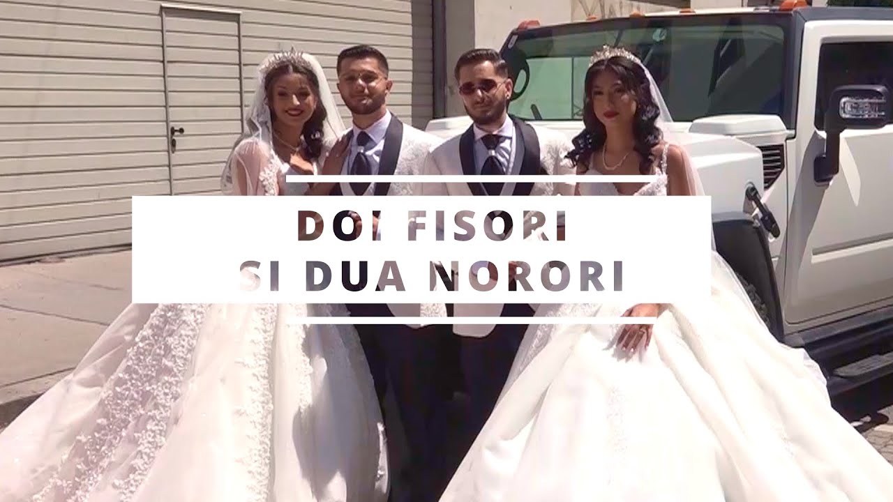 Goran Petrovic - Doi fisori si dua norori