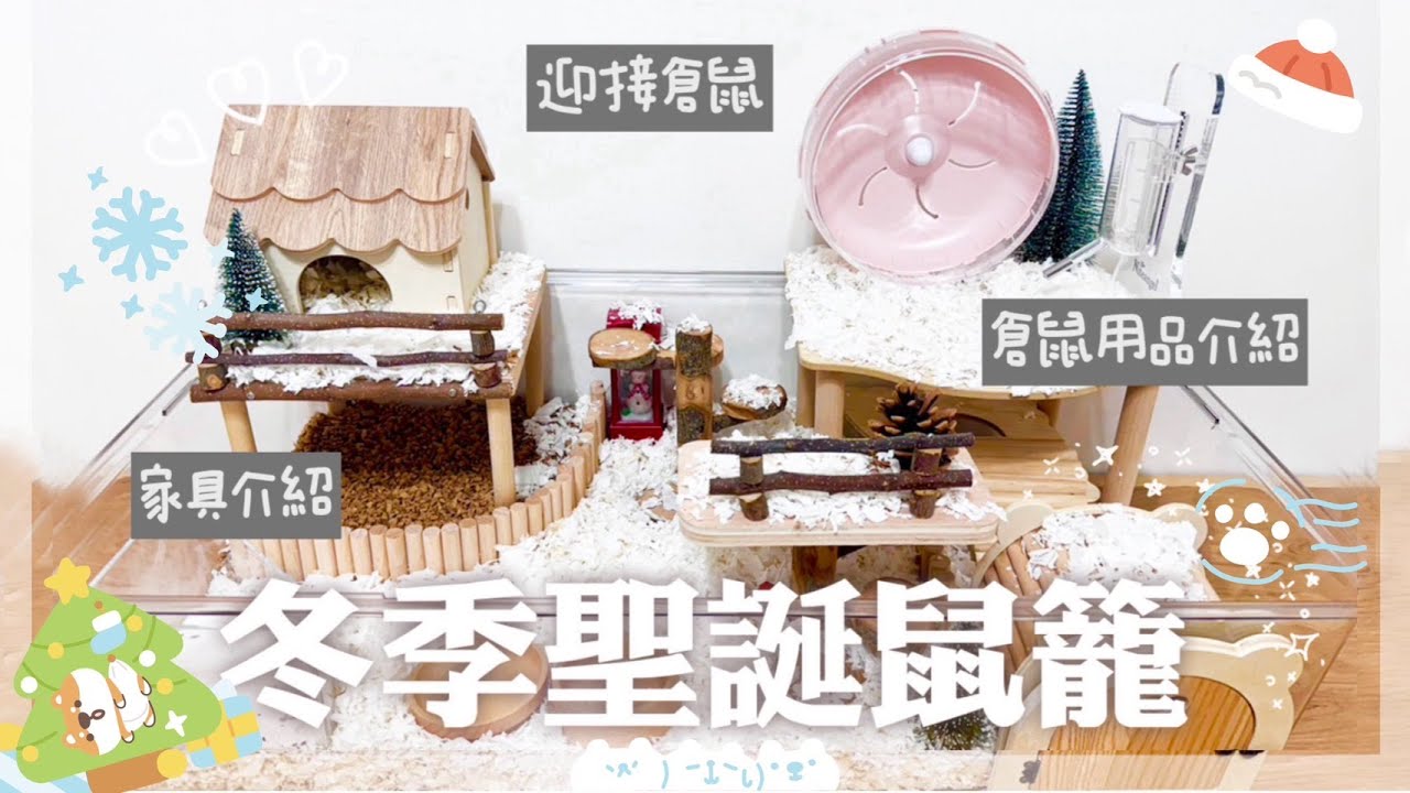 【開箱】🐹終於養倉鼠了！冬季聖誕鼠籠佈置 來迎接倉鼠吧！❄️🎄🎅🏻｜繪里♡