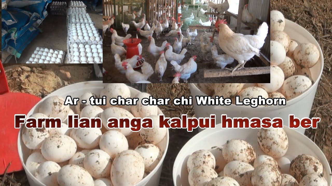 Artui nitin  pum 1000 thar thei Khuanglengah