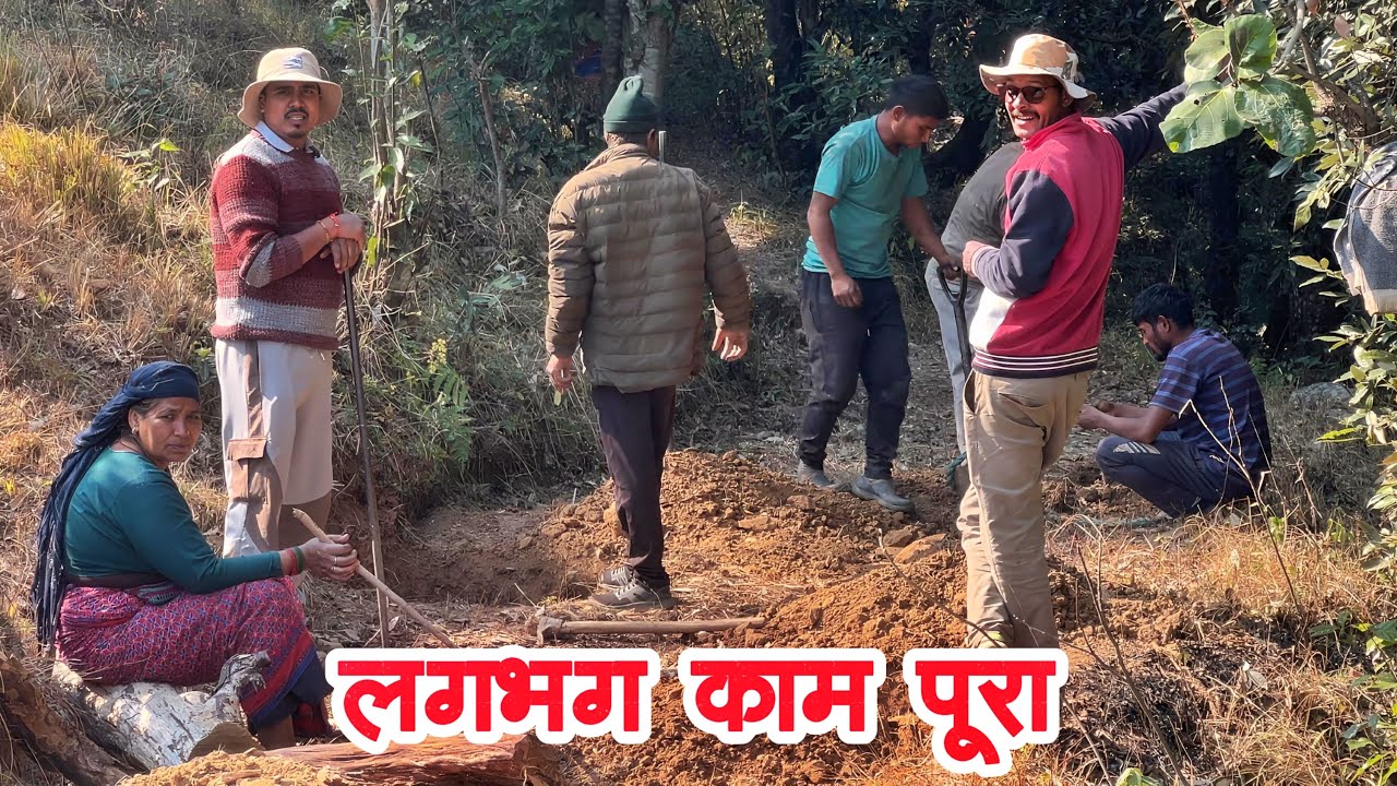 आज कीवी के पौधों के लिए खड्डे बनाने का काम लगभग पूरा हो गया है। 