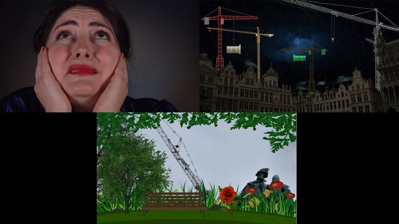 Art Video Installation on La Bruxellisation (Brusselization)