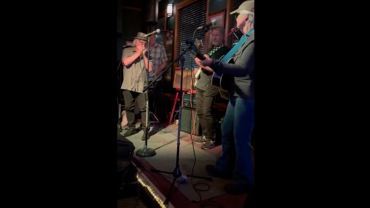 Wild Chickens Don't Get the Blues