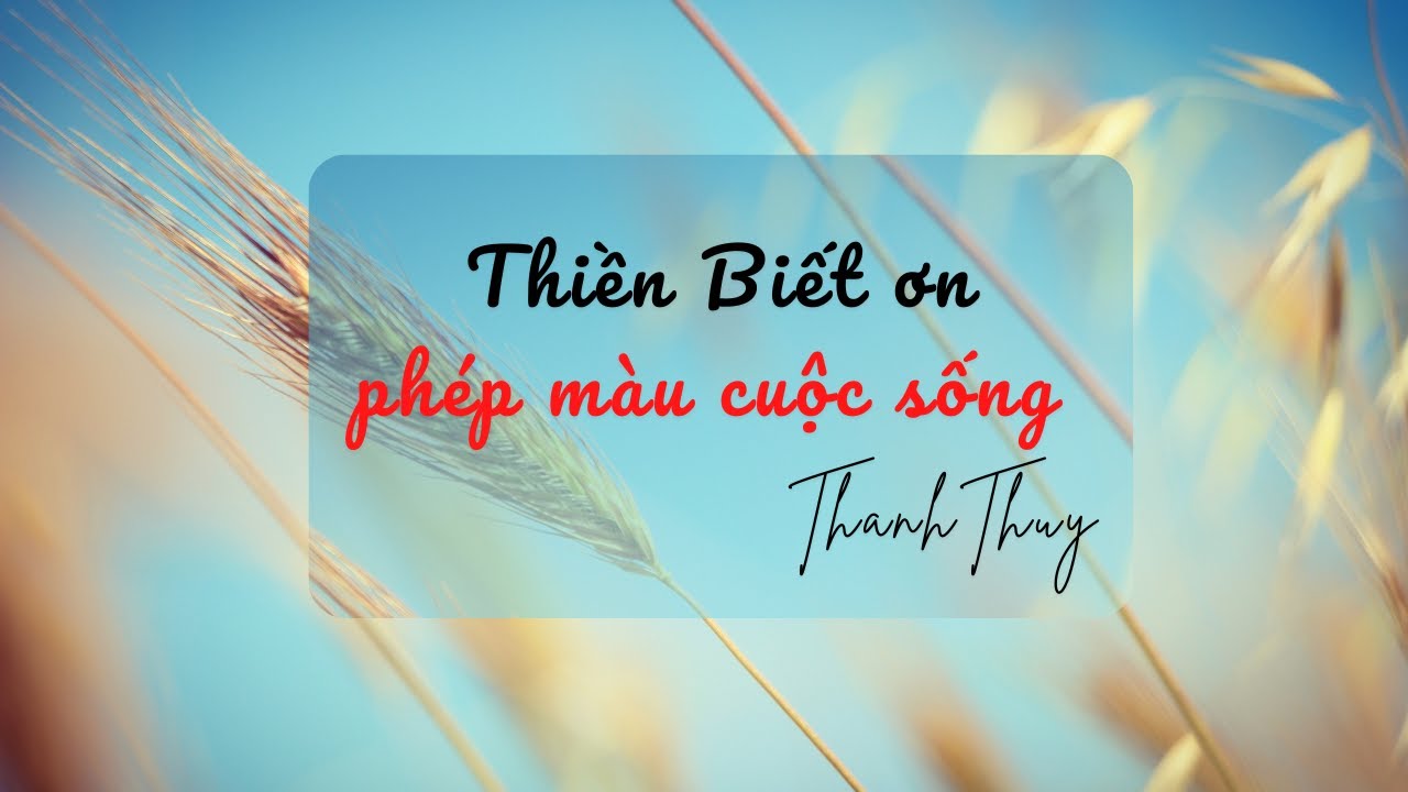 THIỀN BIẾT ƠN - PHÉP MÀU CỦA CUỘC SỐNG | LƯU THANH THÙY