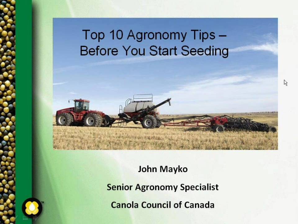 Top 10 Agronomy Tips Before Seeding Canola