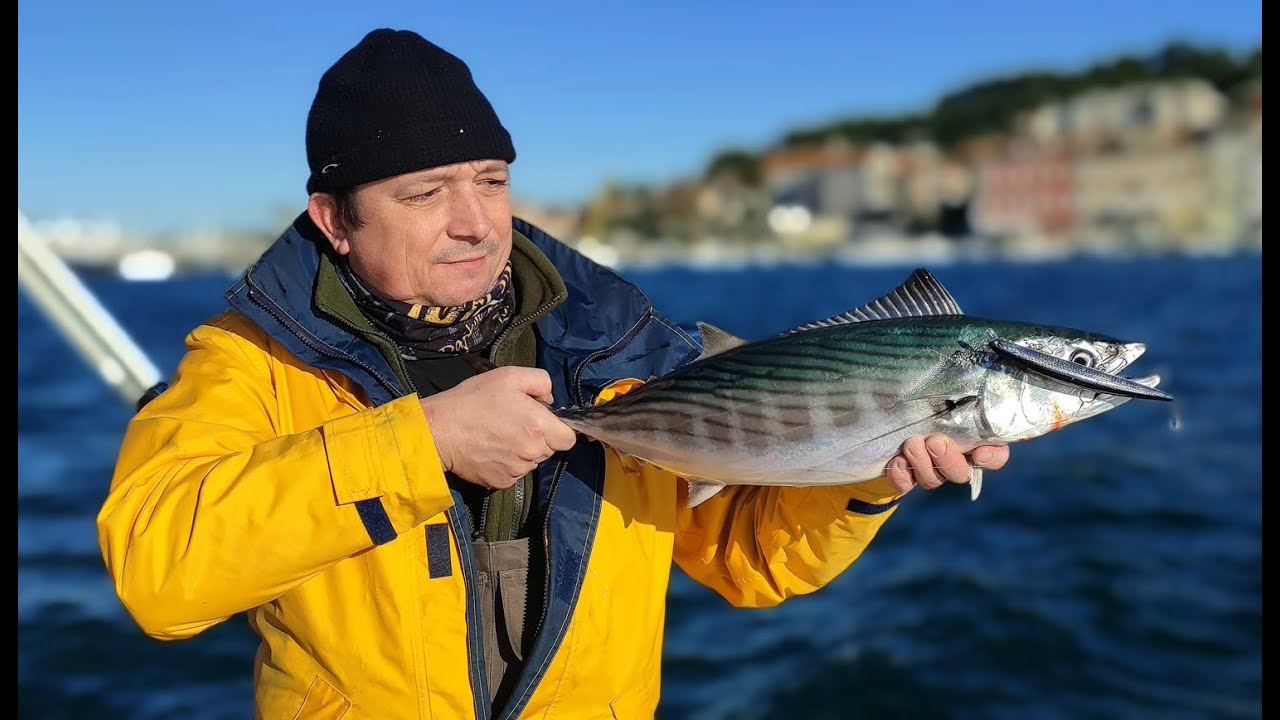Ribolov svim i svačim - Spin palamida na Lošinju / Lignjolov na Susku (2023)