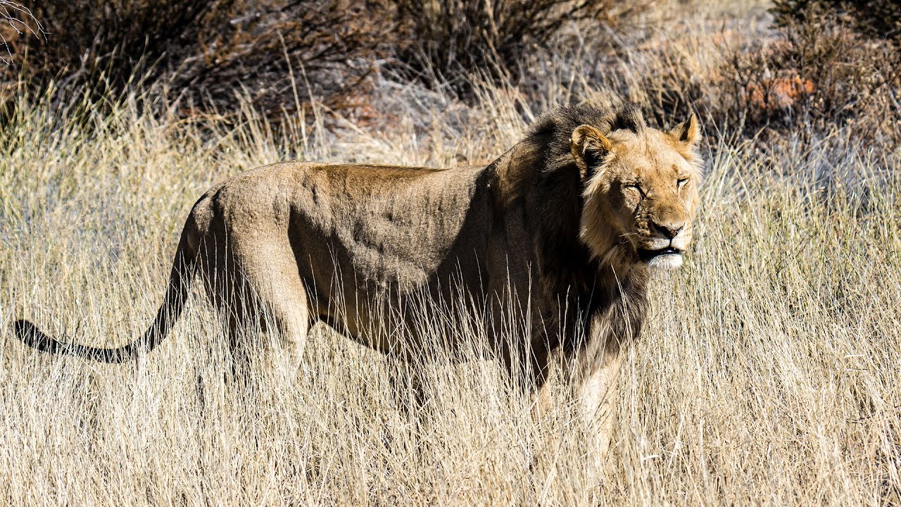 Namibia 2022 Teil 1/7 in 4k