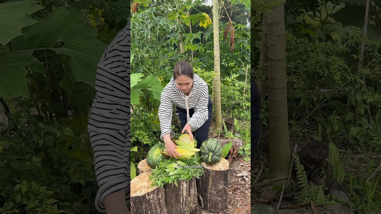 petik berbagai hasil kebun dan masak di pondok