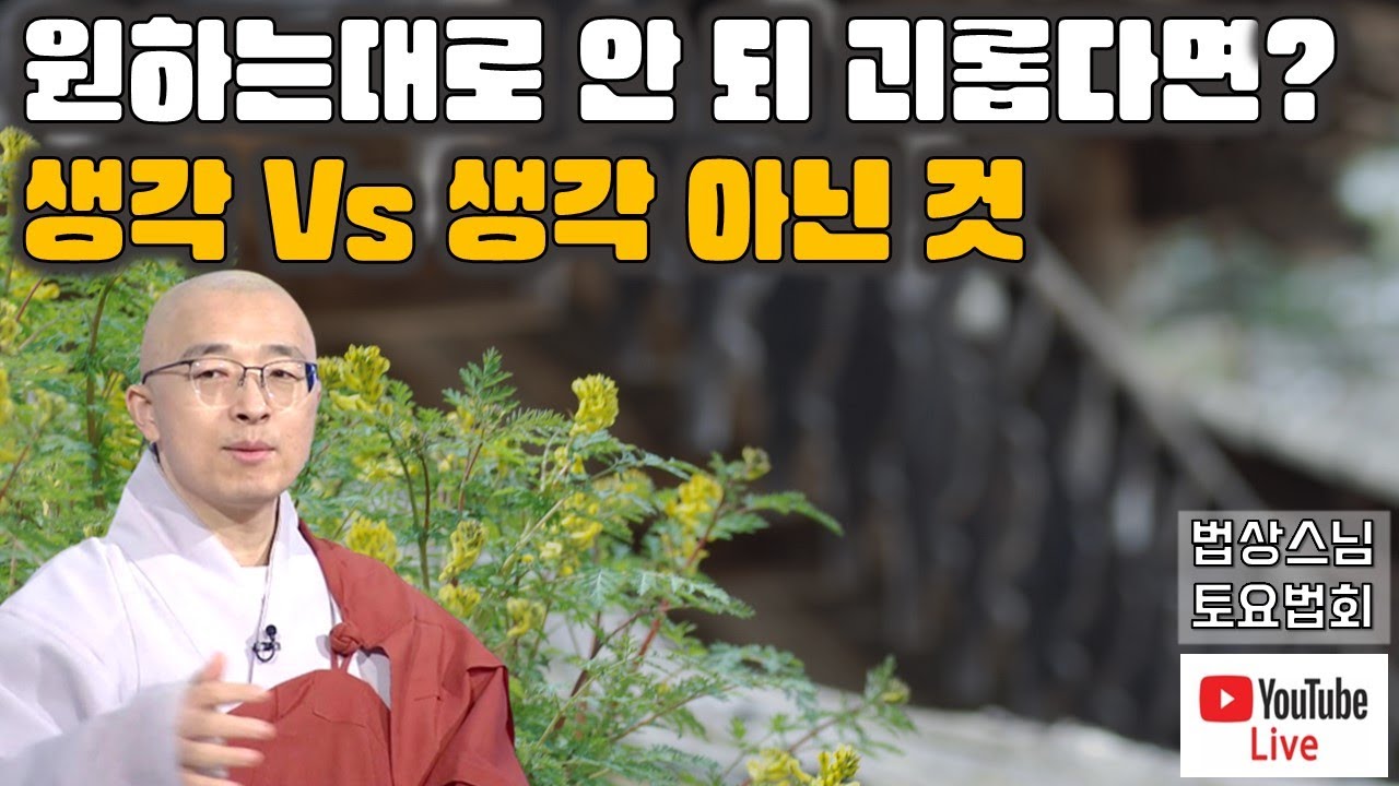 [돈오46] 원하는 대로 안 되어 괴롭다면? 생각과 생각 아닌 것의 차이만 깨달으면