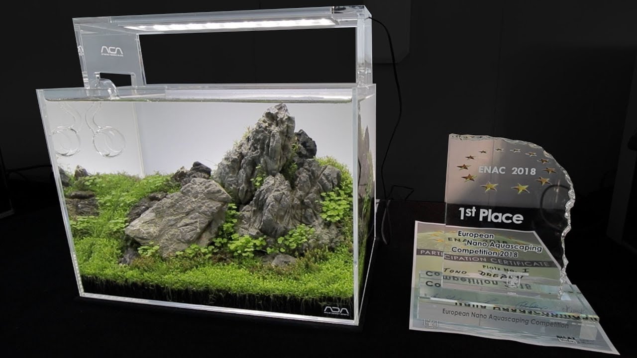 Aquascape WINNER! #1