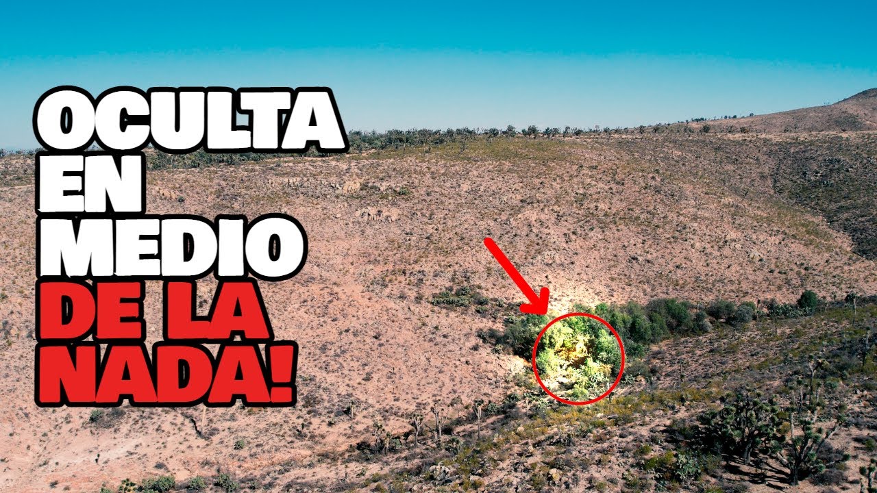 En Medio de la NADA la Encontré! Los Árboles la OCULTABAN!