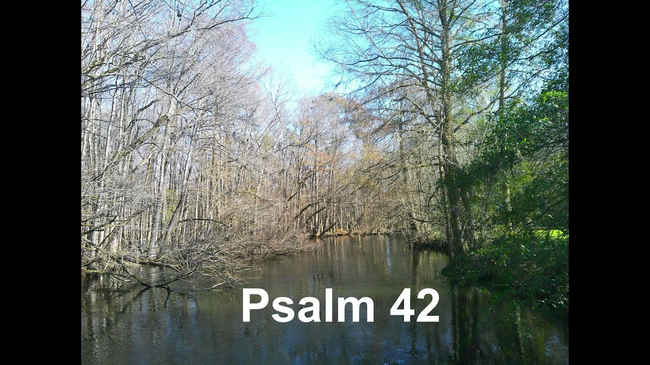 Psalm 42 February 2026