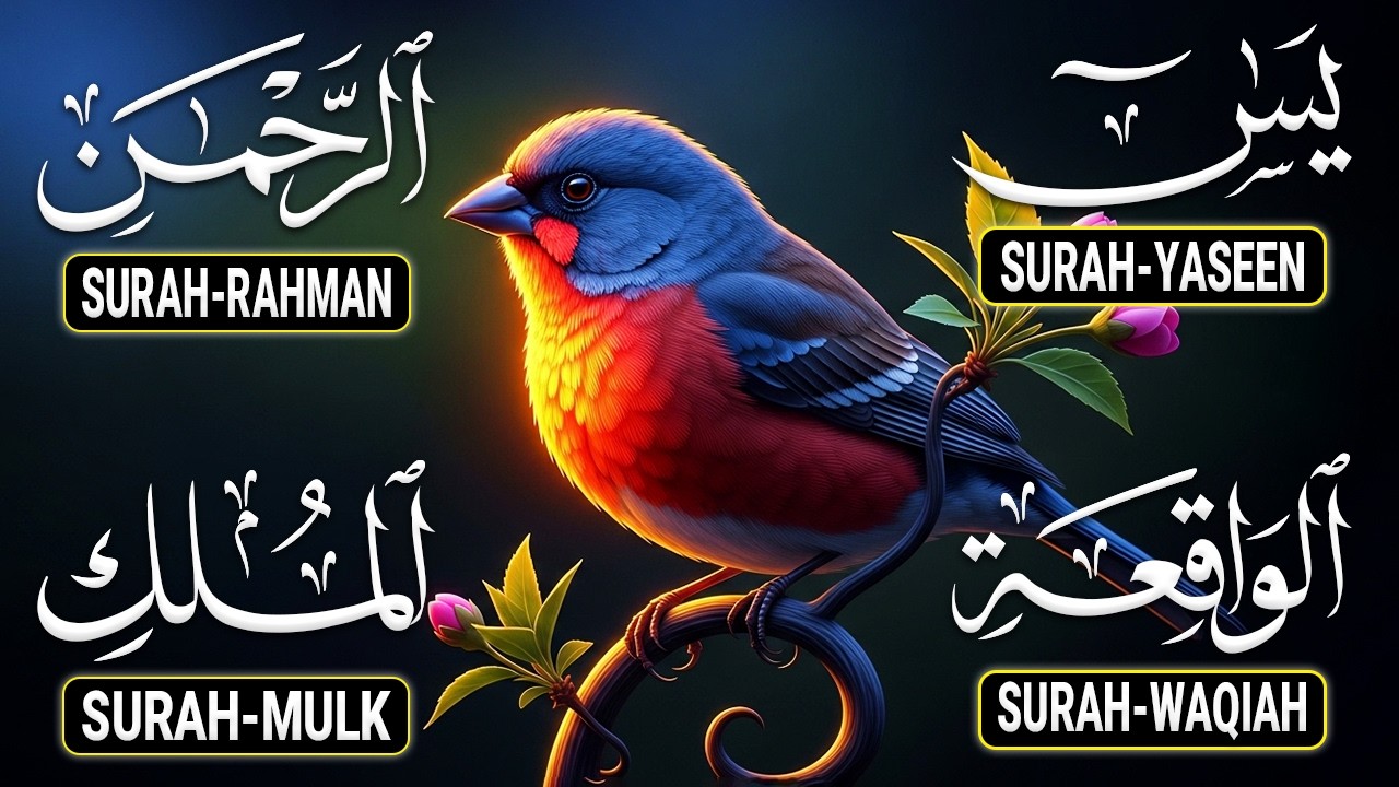 Very Nice Voice Surah Yaseen (Yasin) | Surah Rahman | Surah Waqiah | Surah Mulk |Ep50 By Alaa Aqel