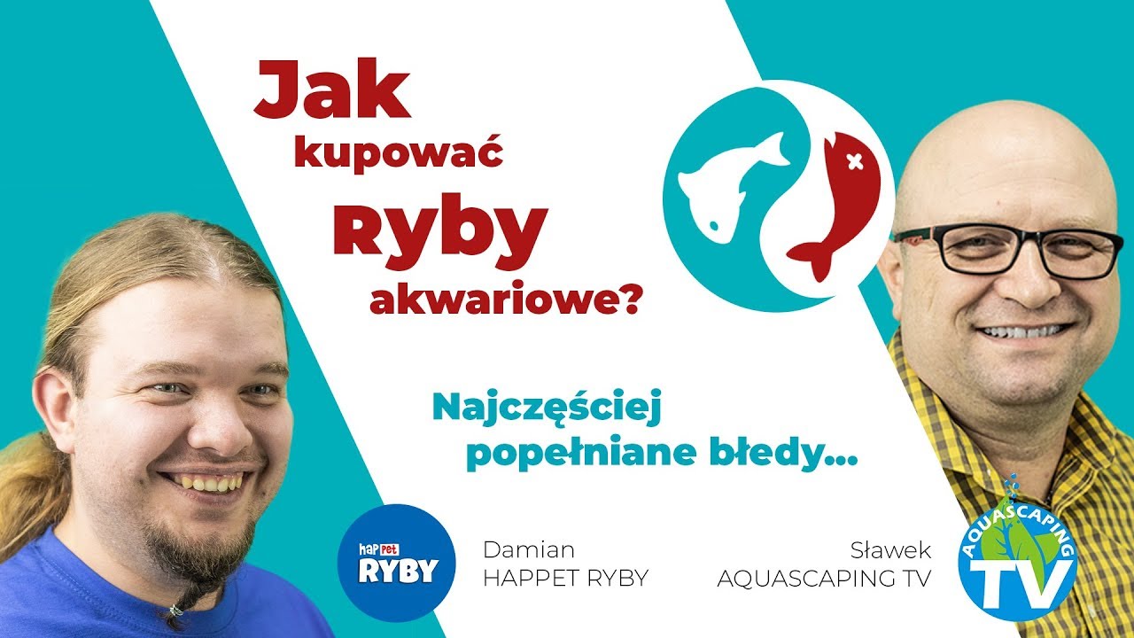 Na co zwracać UWAGĘ przy ZAKUPIE RYB Akwariowych?