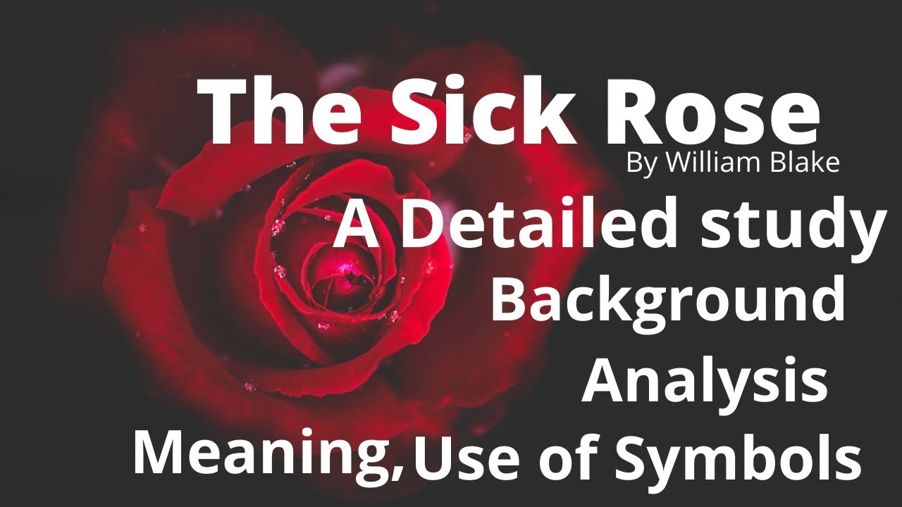 The Sick Rose by William Blake (Class XI WBCHSE) Meaning & Analysis