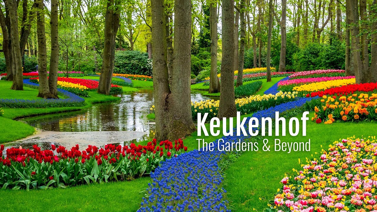 Keukenhof Guide: 10 Essential Tips & Nearby Villages to Explore