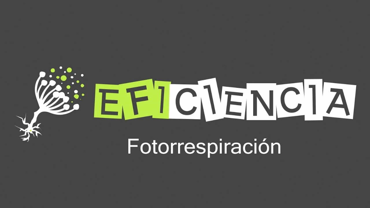 FOTORRESPIRACIÓN. Actividad Oxidasa de la Rubisco