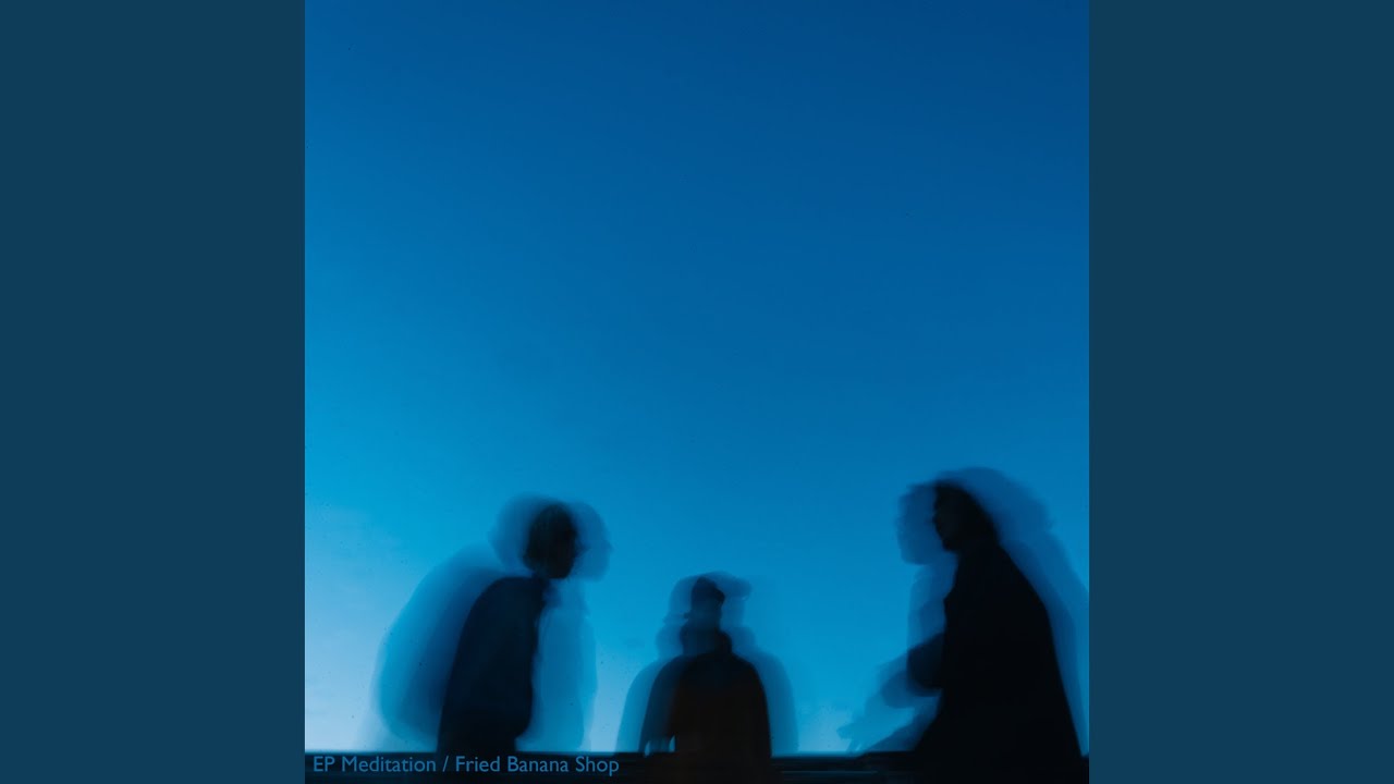 Paralysis (feat. Shöka)