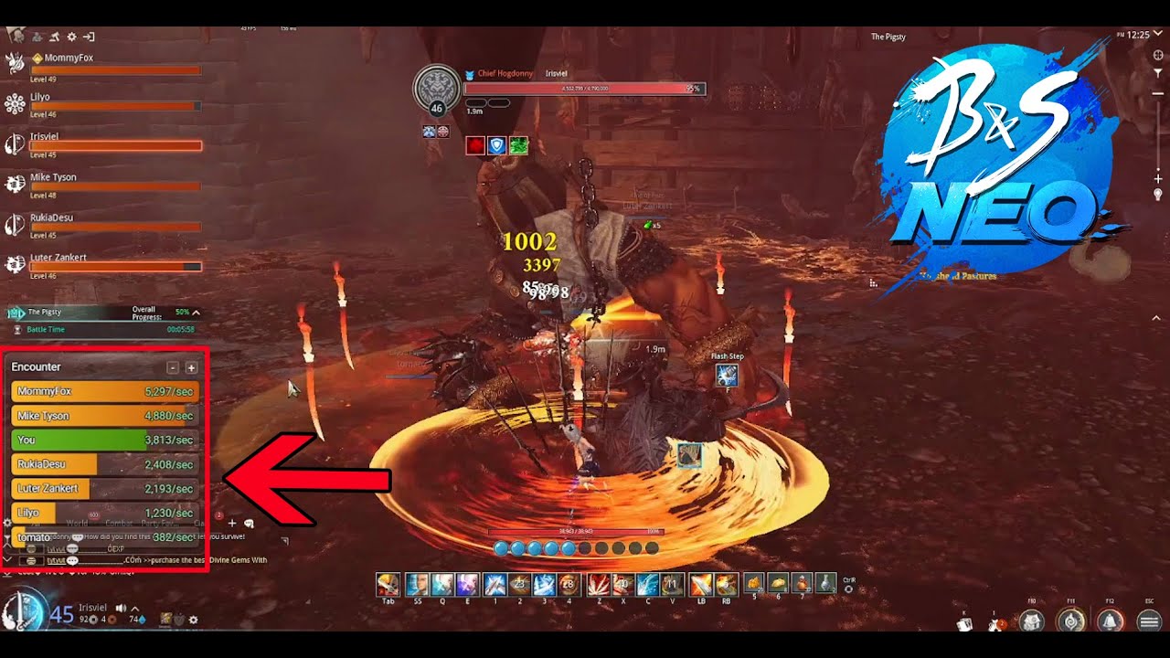 B&S NEO I COMO PONER EL DPS METER I HOW TO PUT DPS PARSING