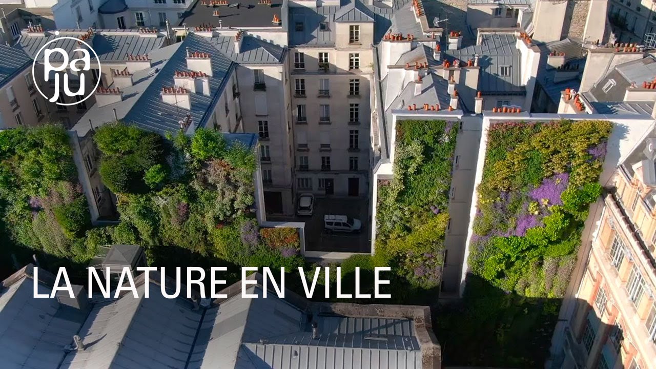 Les incroyables créations végétales d’un botaniste sur les murs des villes
