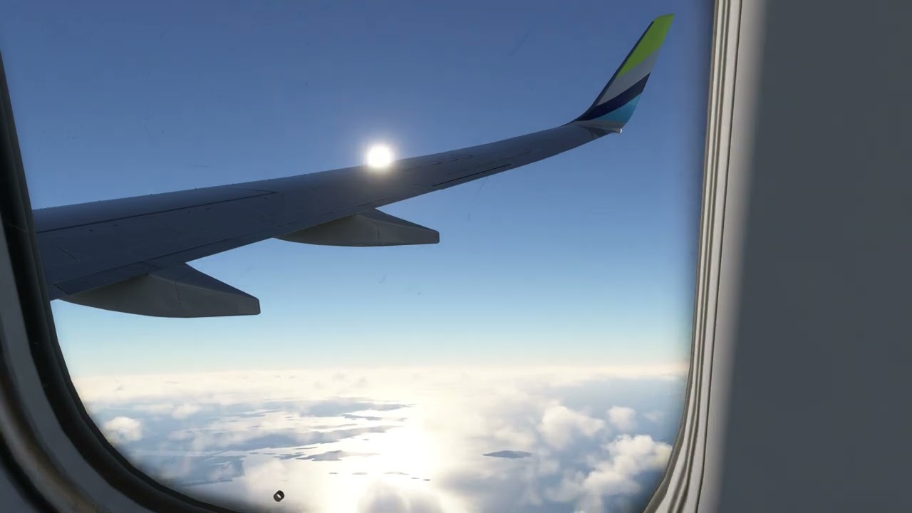 Airplane ASMR - MSFS2020 - Boeing 737-800