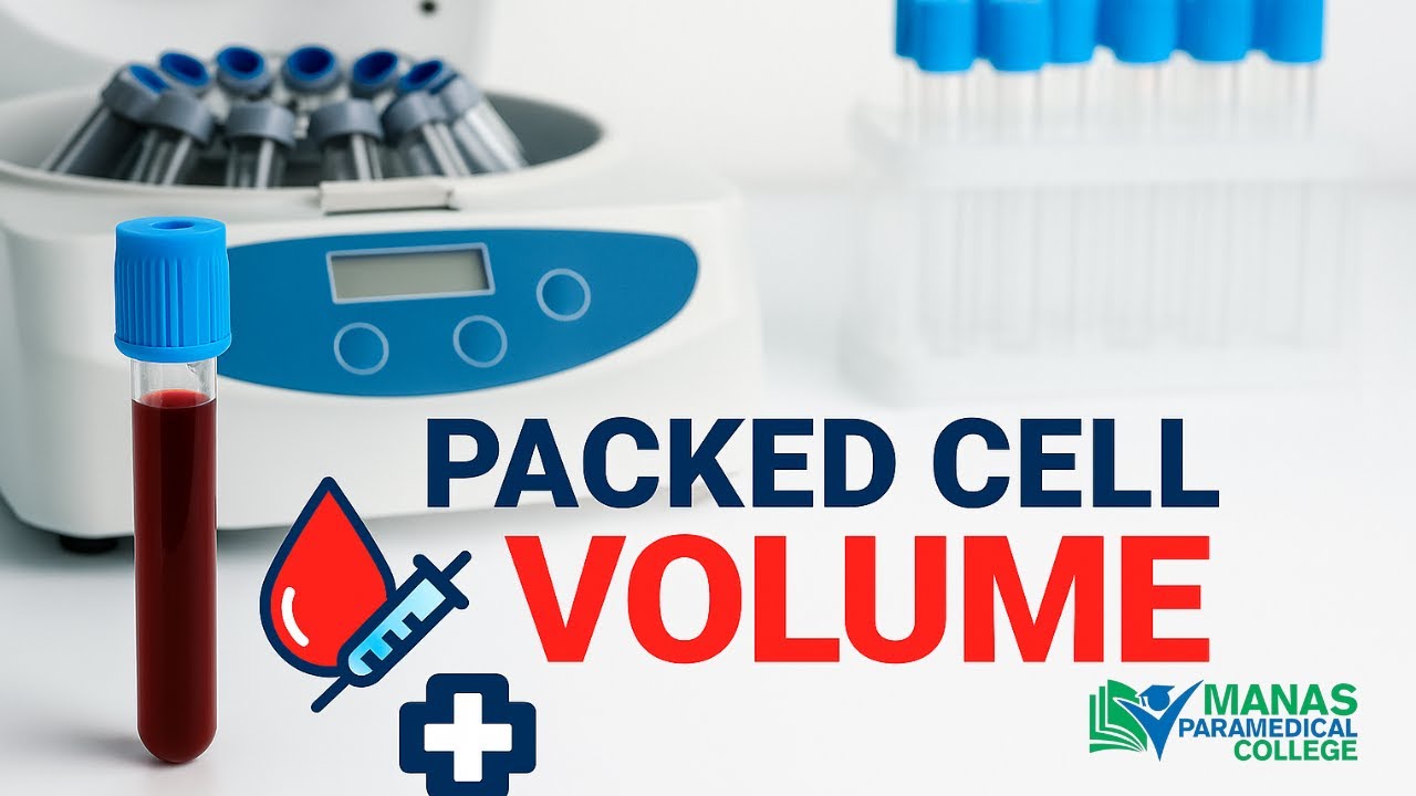 Packed Cell Volume (PCV) | Hematology Explained in Hindi | Manas Paramedical College