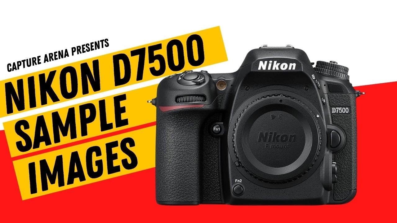 Nikon D7500 (4K) Sample Images with Camera Settings (2023)