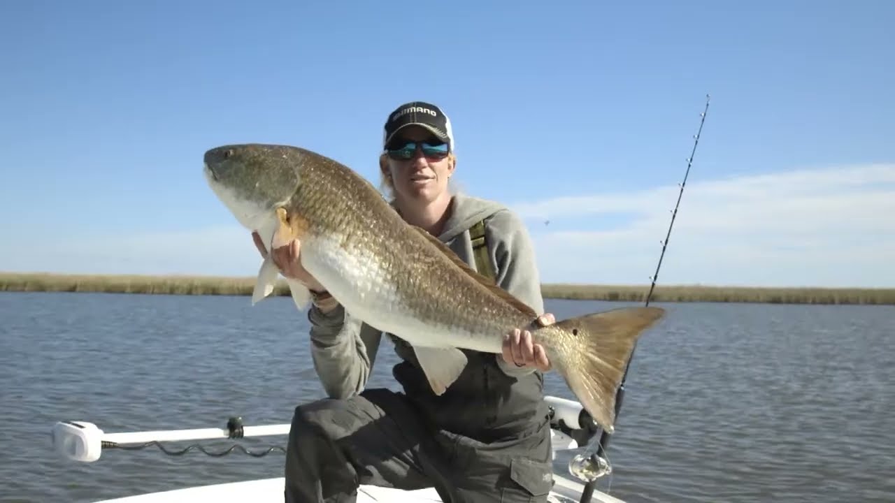 Season 6 | Episode 3 | Garfish Moe | 603