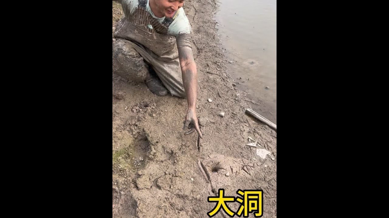 拳头那么大的浆洞你们见过吗？没想到最后扣到两条大斤货，太意外了！