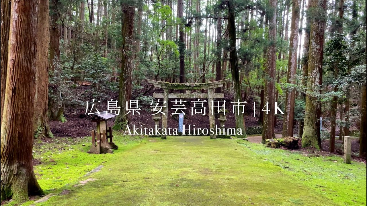 消滅可能性都市紹介：広島県安芸高田市（-53.7％）