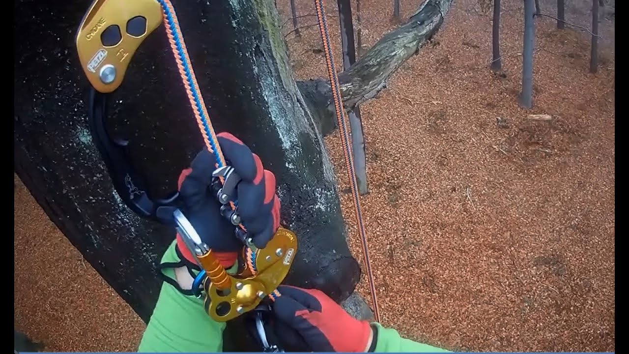 Zigzag + Chicane PETZL + polish rope PROTEKT TU 129 #petzl #treeclimbing