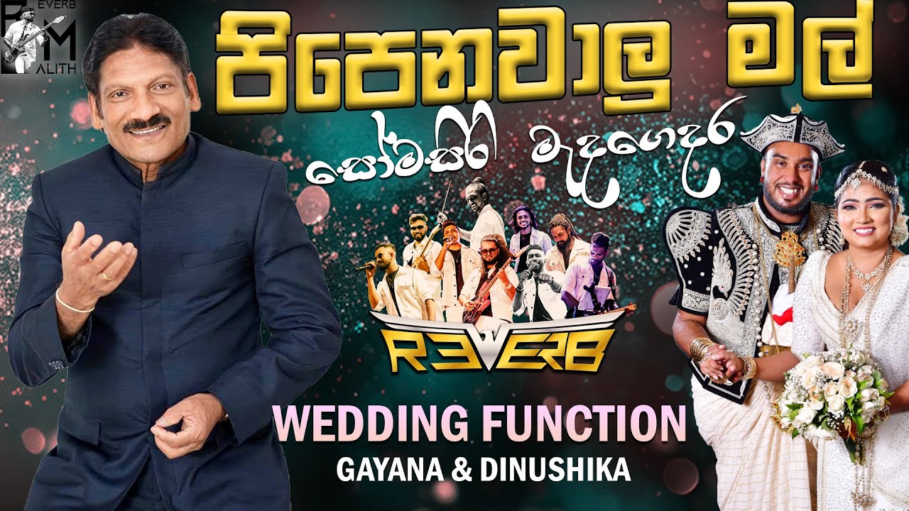 Pipenawalu Mal (පිපෙනවාලු මල් පරවි)සෝමසිරි මැද ගෙදර | Somasiri Medagedara | Bandaragama reverb live