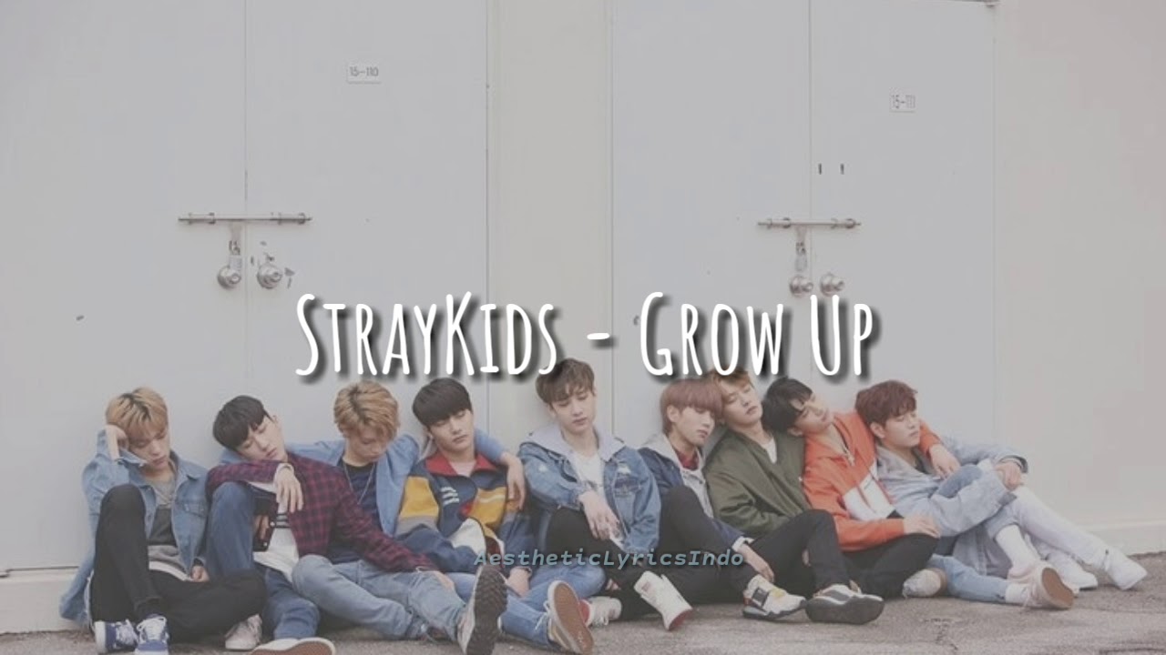 Stray Kids - Grow Up '잘 하고 있어' (Indo Lyrics)