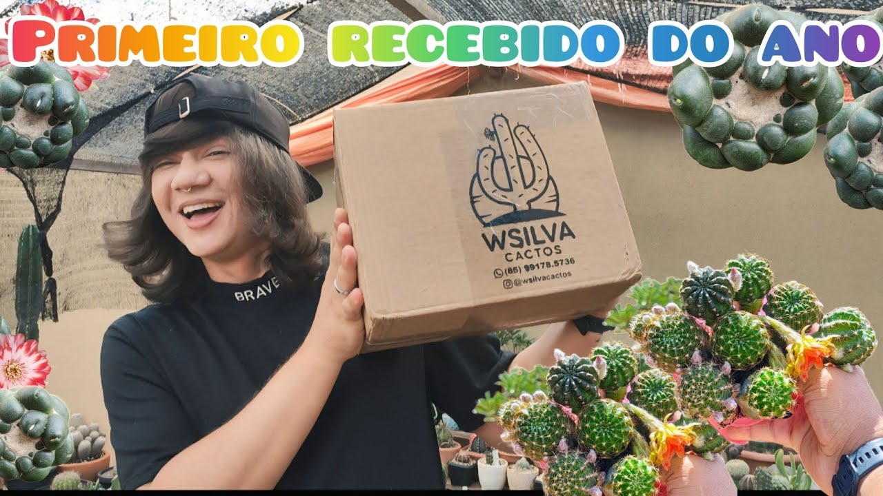 PRIMEIRO RECEBIDO DE 2025, COM PLANTAS QUE EU NUNCA TROUXE AQUI NO CANAL. NOVIDADES NA COLEÇÃO 💚🌵
