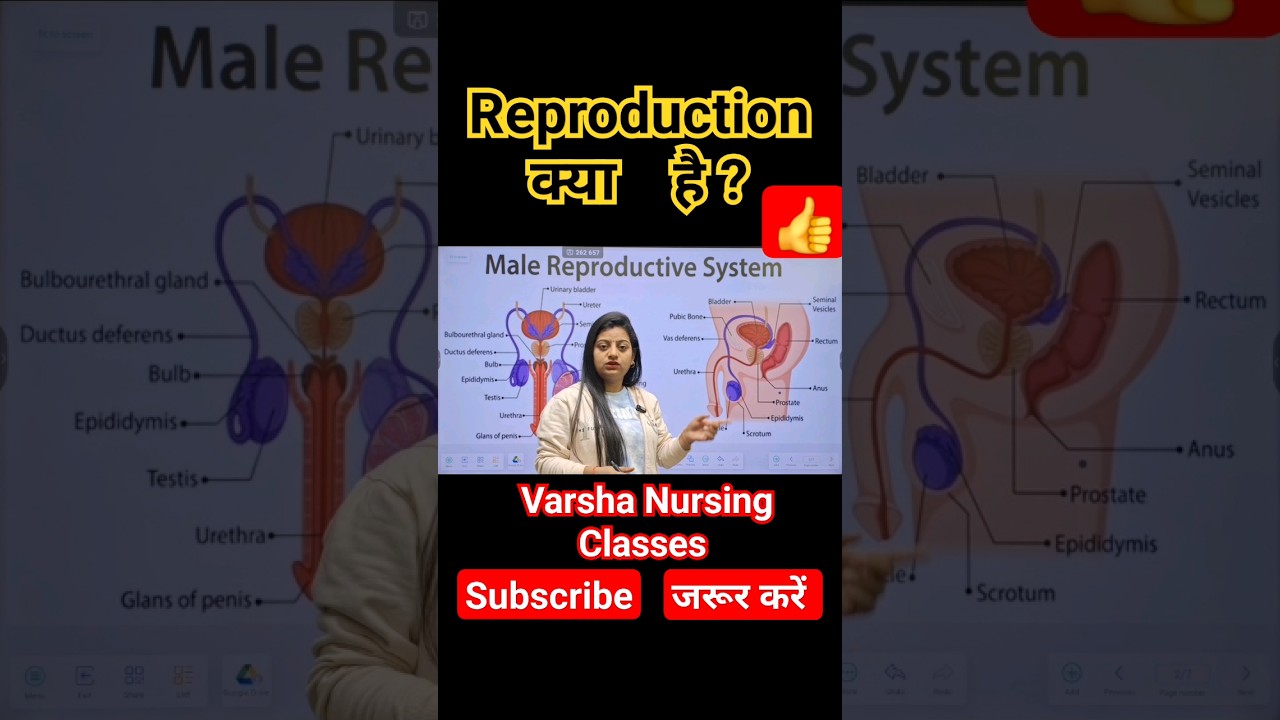 what is Reproduction क्या है ?#malereproductivesystem male#nursing #trending #biology