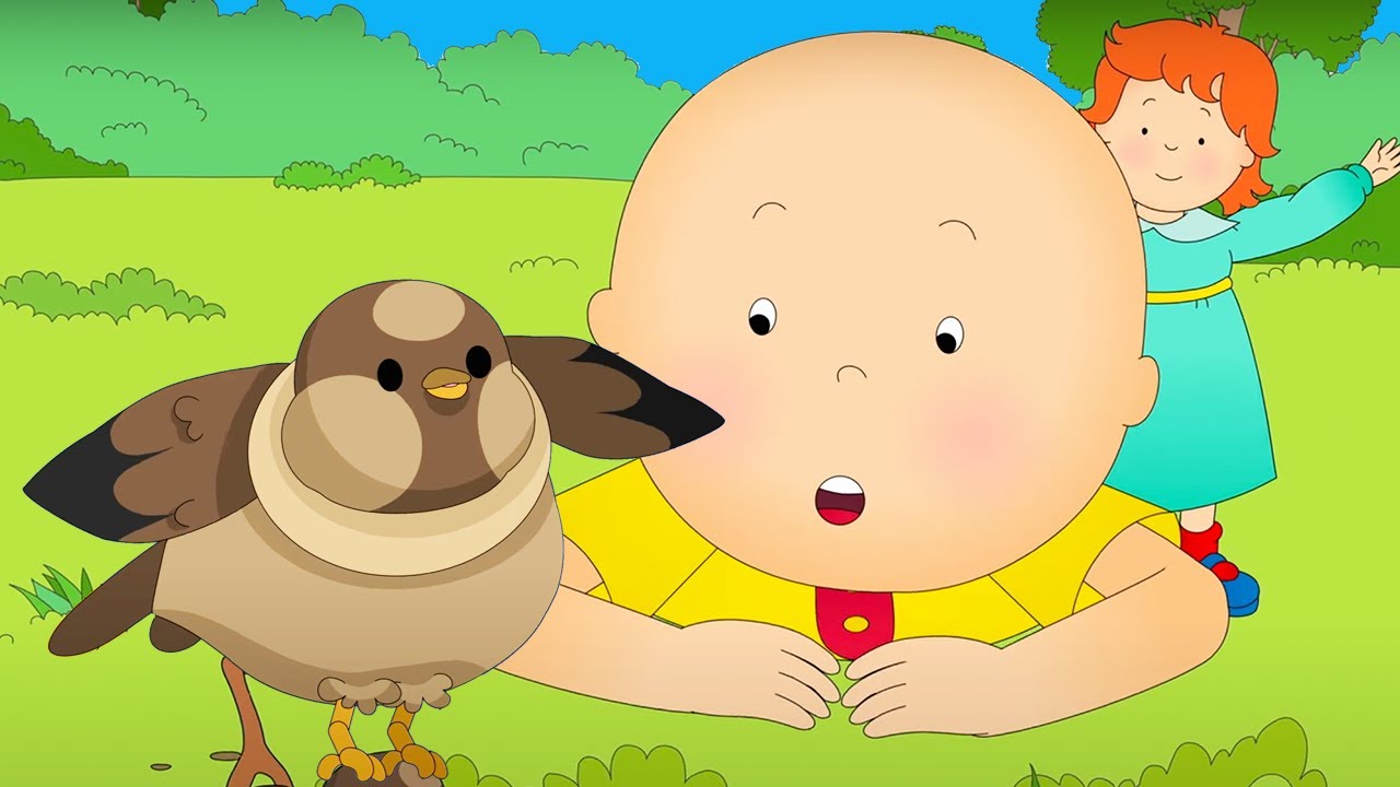 Fly Like a Bird | Caillou Cartoon