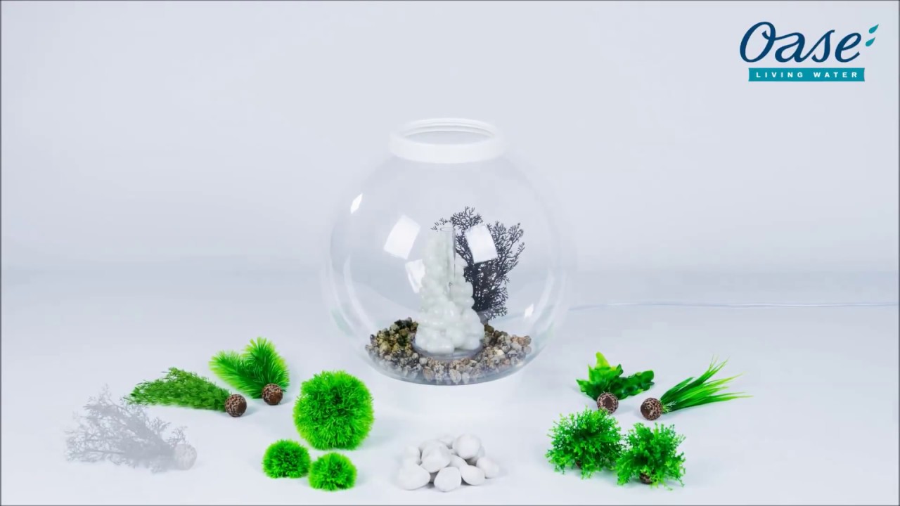 Oase Aquarien-Set 