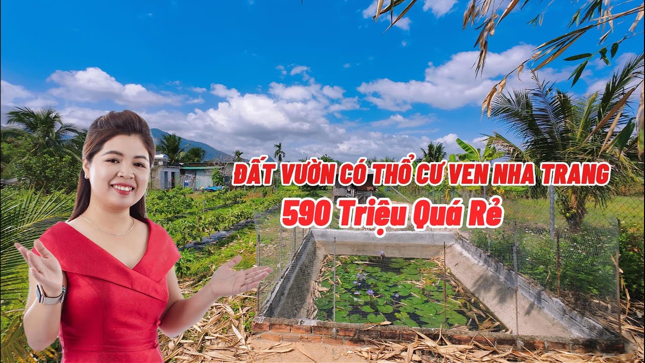 Tập 161: Chỉ Duy Nhất 1 Lô Đất Vườn Có Thổ Cư Ven Nha Trang Giá Chỉ 590 Triệu