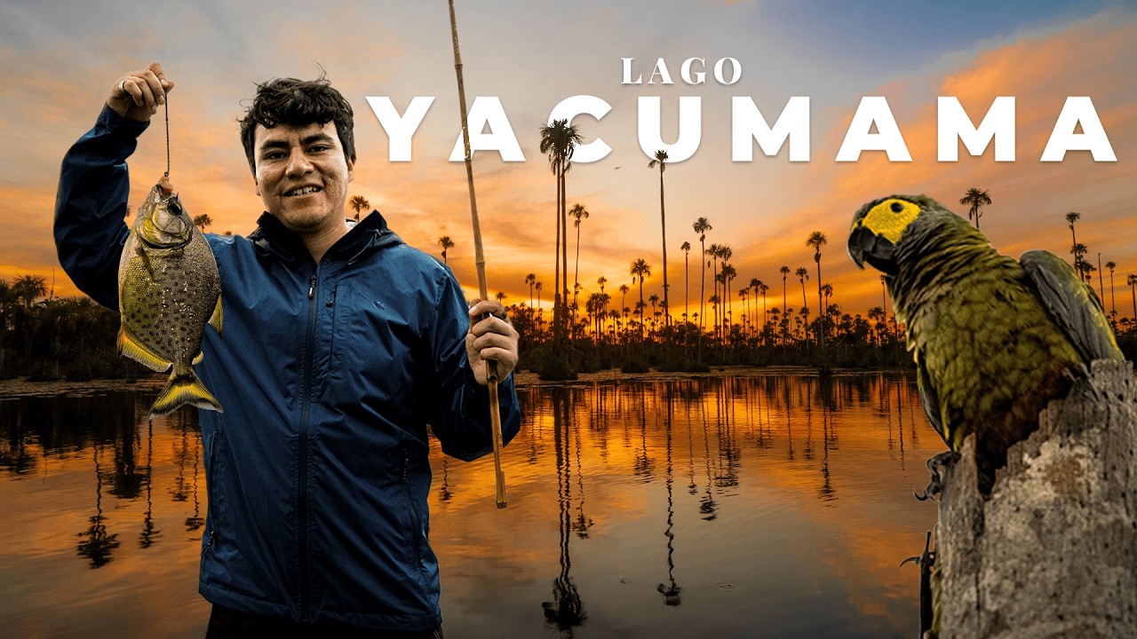 Lago YACUMAMA, Recorrido por el Lago Amazónico | Perú 4K