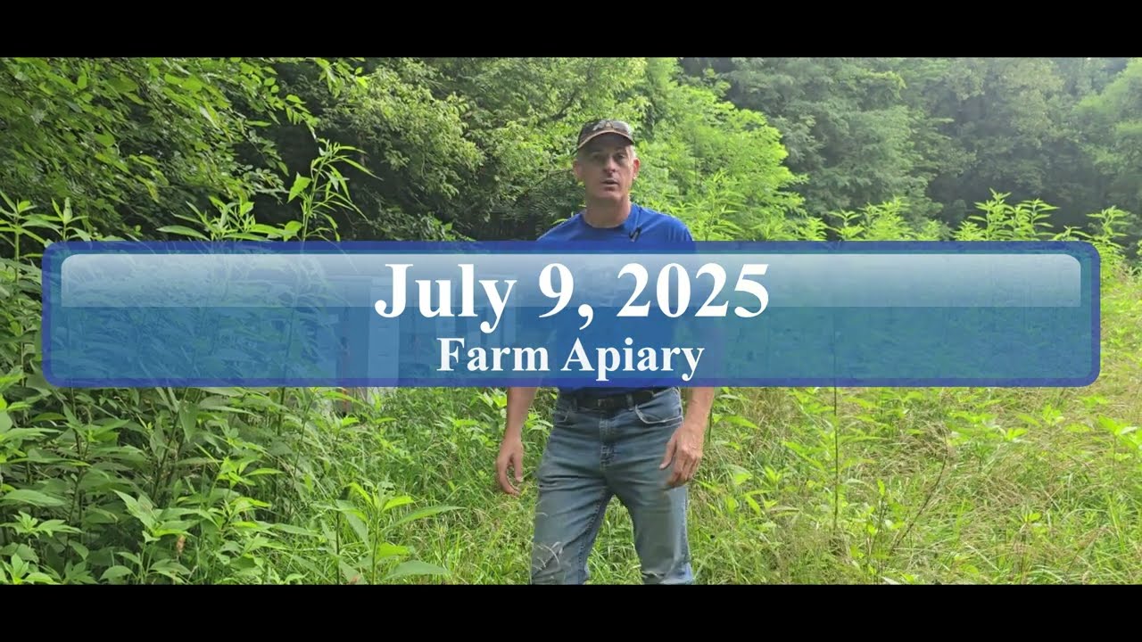 July 9, 2025 Farm Apiary