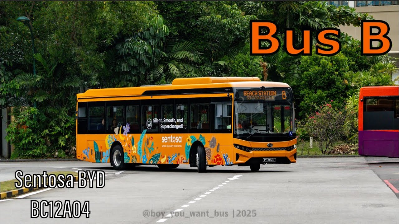 [Joyride] PD3134S on Sentosa Bus B | BYD BC12A04 Zhuhai Guangdong