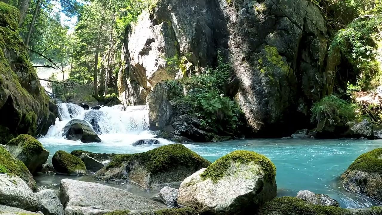 3 Hours of Forest Stream Sounds for Sleep & Relaxation | 💧 Water ASMR